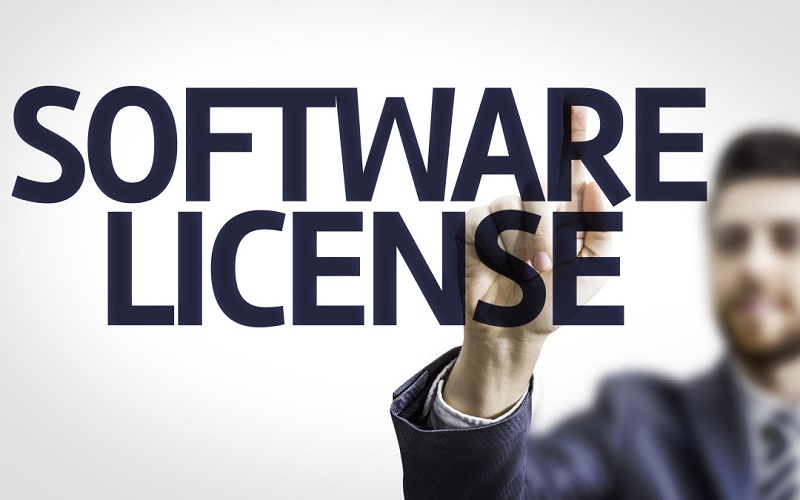 Business man pointing the text: Software License